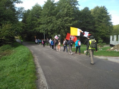 I Piesza Pielgrzymka Tradycji do Wąwolnicy, 2020 — fotografia 6