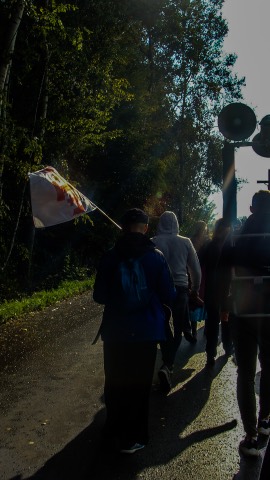 I Piesza Pielgrzymka Tradycji do Wąwolnicy, 2020 — fotografia 34