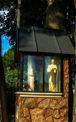 I Piesza Pielgrzymka Tradycji do Wąwolnicy, 2020 — fotografia 37