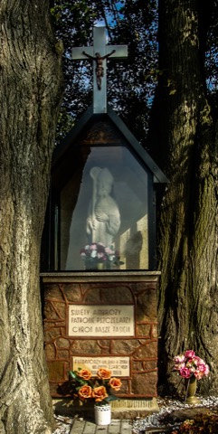 I Piesza Pielgrzymka Tradycji do Wąwolnicy, 2020 — fotografia 38