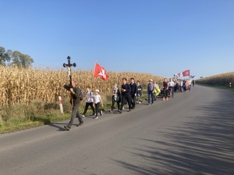 IV Piesza Pielgrzymka Tradycji do Wąwolnicy, 2023 — fotografia 32