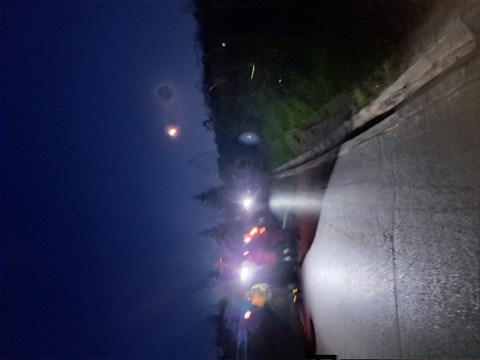 VI Piesza Pielgrzymka Tradycji do Wąwolnicy, 2025 — fotografia 14