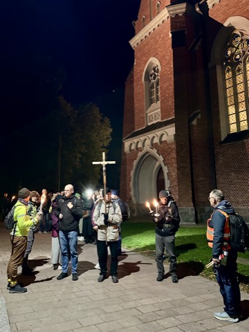 VI Piesza Pielgrzymka Tradycji do Wąwolnicy, 2025 — fotografia 147